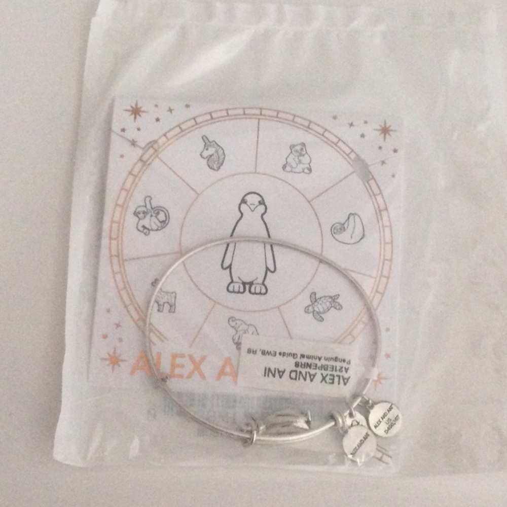 Penguin Animal Guide Bracelet with Bonus Pair of Socks